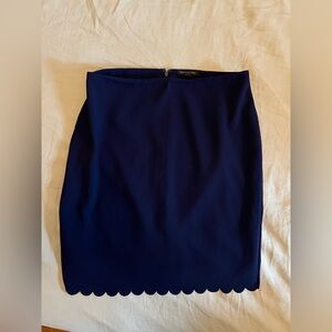 Banana Republic Dark Blue Pencil Skirt